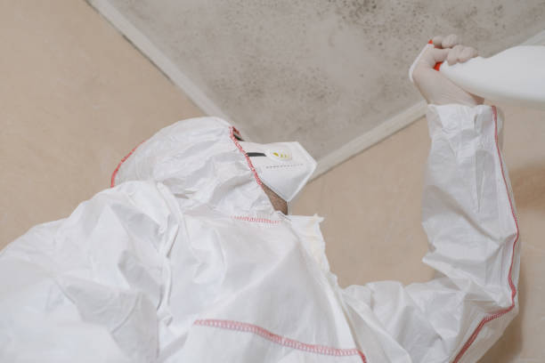 Best Bathroom Mold Remediation in Callaway, MD